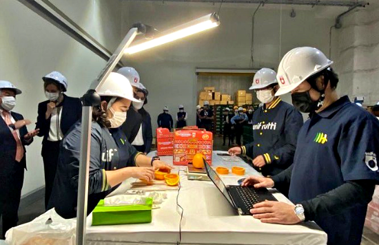 Controlli sulla merce all’arrivo in Giappone