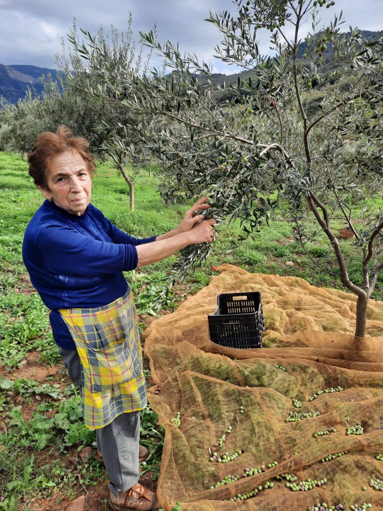 Mamma Marianna