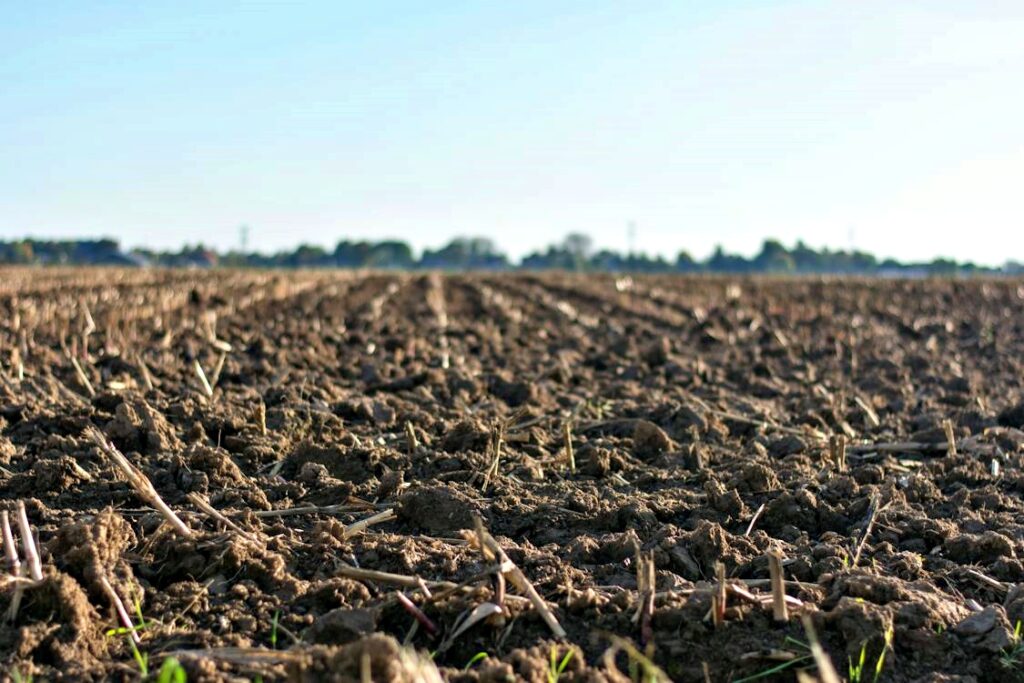 Un progetto, finanziato con fondi del Psr, mira a introdurre approcci agricoli innovativi in Sicilia per contrastare il degrado, accelerato da pratiche intensive e cambiamenti climatici, che sta minacciando la capacità produttiva dell'isola e riducendo la varietà biologica degli ecosistemi.