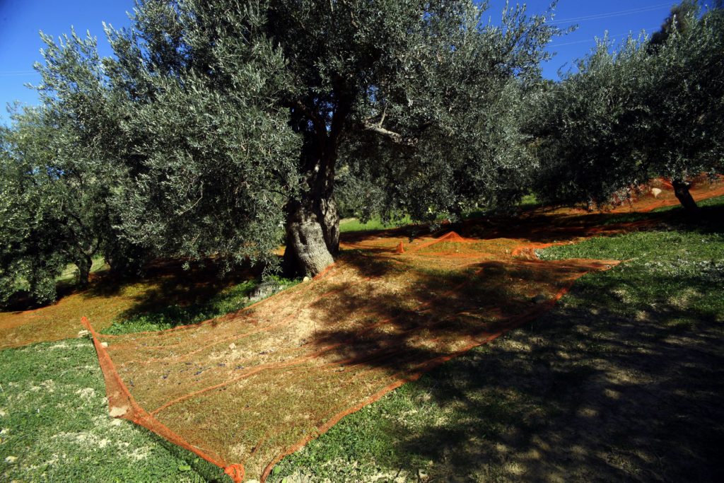 Dal 1° al 20 agosto temporali quotidiani nel Catanese, nel Siracusano e nell'Ennese, con picchi di oltre 120 mm sull'Etna. Ma anche precipitazioni spesso limitate a porzioni ridottissime di territorio e sfuggite persino ai rilievi della rete SIAS. L'estate si chiude in lieve surplus di pioggia nelle zone interne.